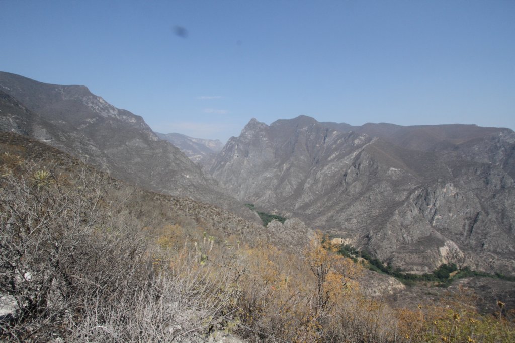 habitat.jpg